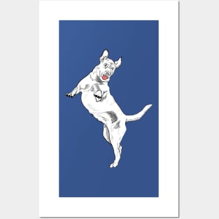 Marshall the White Labrador Retriever - Blue Posters and Art